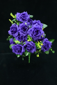 Purple Open Rose Bush x12  (Lot of 1) SALE ITEM
